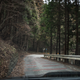 Driving a Subaru through a forest. For a moment I thought I was Colin McRae. Minus the talent.
